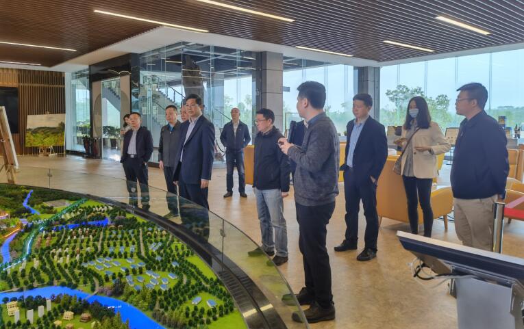 广西旅发集团党委书记、董事长容贤标考察集团文旅项目